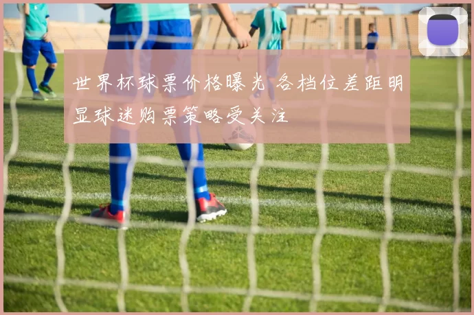 世界杯球票价格曝光 各档位差距明显球迷购票策略受关注