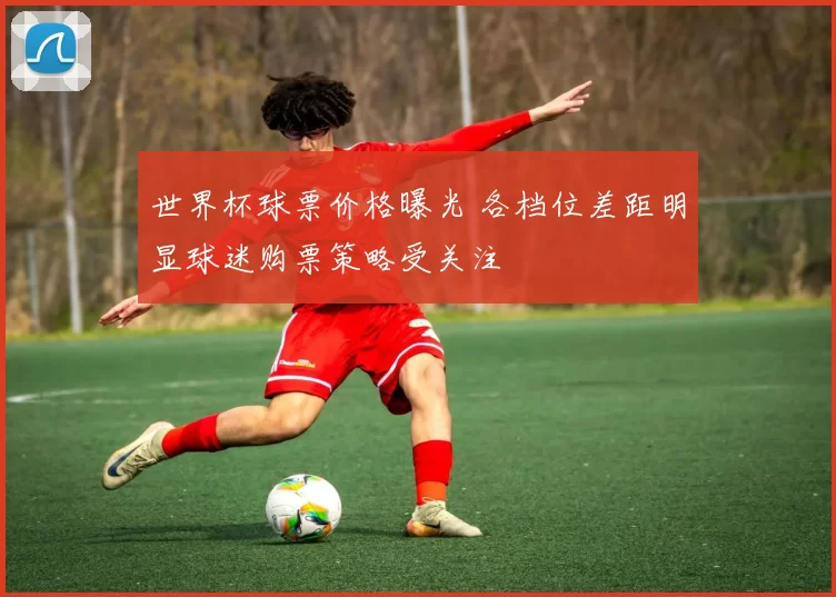 世界杯球票价格曝光 各档位差距明显球迷购票策略受关注