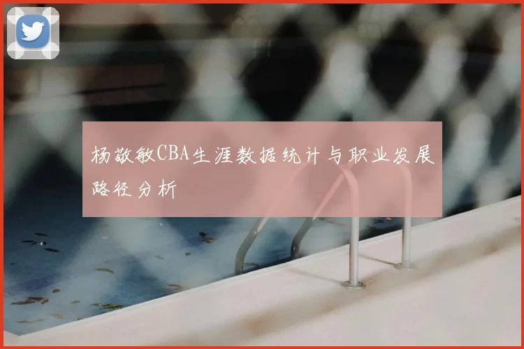 杨敬敏CBA生涯数据统计与职业发展路径分析