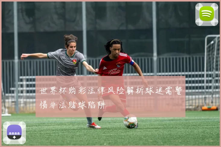 世界杯购彩法律风险解析球迷需警惕非法赌球陷阱
