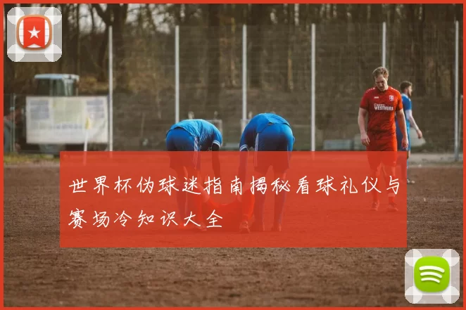 世界杯伪球迷指南揭秘看球礼仪与赛场冷知识大全