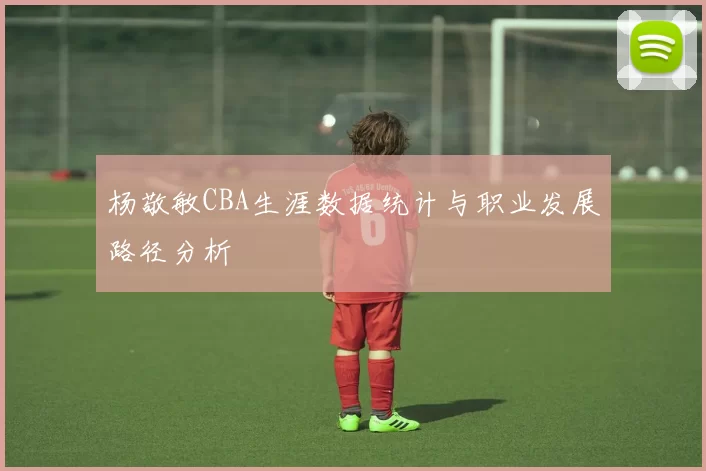 杨敬敏CBA生涯数据统计与职业发展路径分析