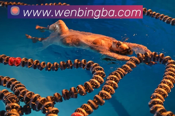 星空官方登录网站品牌故事